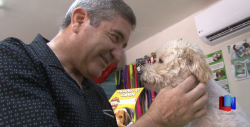 En Cajeme, médico se gana la vida atendiendo a las mascotas