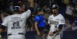 Tomateros con gran paso en verano