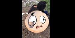 Golpean a presunto ladrón en Mazatlán y lo graban en video