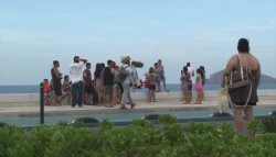 Crece 2 puntos ocupación promedio de verano: Manguart