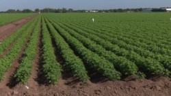 Buscarán alternativas de obtención de agua ante falta de lluvias