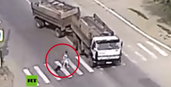 Perro salva a dueña de ser atropellada