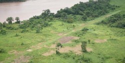 Honduras ha destruido 42 pistas clandestinas usadas para narcotráfico en 2018