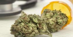 SCJN avala uso médico de marihuana y derecho a una muerte digna