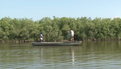 Furtivismo está acabando con la pesca: Cooperativistas