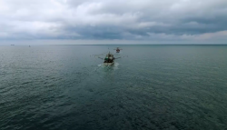 Recurrirán al amparo pescadores de Sonora