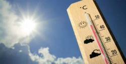 ¿Qué hacer ante tanto calor?