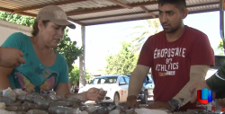 Como tardía califica líder el levantamiento de la veda del camarón