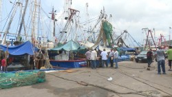 Pescadores invierten en embarcaciones alrededor de un millón de pesos