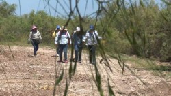 Día internacional de desaparecidos no debería existir: Rasteadoras