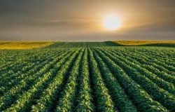 TLC favorable para productores mexicanos: Zertuche