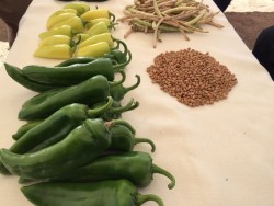 Se preparan para el próximo ciclo agrícola: AARP