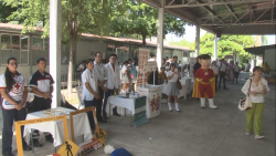 Cobaes facilita a sus estudiantes la realización del servicio social