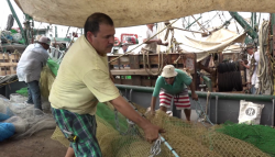 Entusiasmados pescadores de altamar avituallan sus barcos