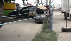 Mucho trabajo para los rederos, previo a la zafra camaronera
