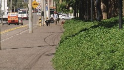 Divide opiniones el proyecto Distrito Paseo Mundial