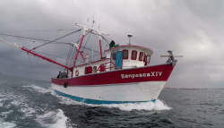 Secretarios de Pesca de México refrendan apoyo a la pesquería
