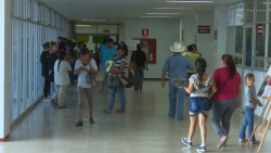 Reportan 8 casos de paludismo en la zona norte de Sinaloa