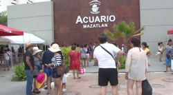 Anuncia Acuario Mazatlán excelentes resultados