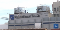 Recibe Constellation Brand premio nacional de Exportación 2018