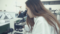 Sinaloa destaca en materia de investigación: INAPI