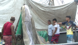 Al 90% los avances del avituallamiento de barcos camaroneros