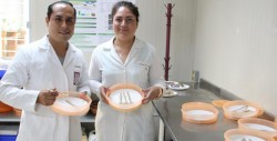 Científicos mexicanos crean cubiertos comestibles altamente nutritivos