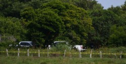 Avanza identificación de cuerpos en fosas de Veracruz