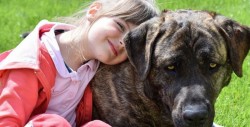 Niña dibuja a su perro desaparecido, toda La Paz lo busca