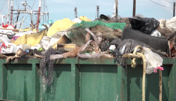 No hay muchos barcos, pero si mucha basura acumulada