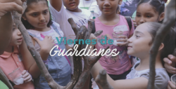 Este próximo viernes inicia "Viernes de guardianes" en Acuario Mazatlán