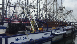 Pescadores van a altamar con temor: Ronald Osuna