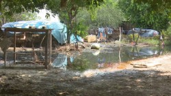 "Siguen acciones para evitar propagación de infecciones": Coepriss