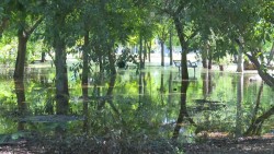 Siguen sacando agua del Jardín Botánico