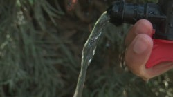 Recomienda COEPRISS no beber agua de la llave