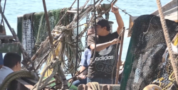 Marina debe de intervenir en robos a barcos camaroneros: Michel Luna