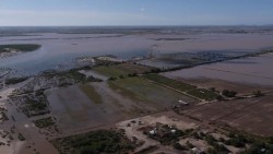 En zozobra entre productores afectados por inundaciones