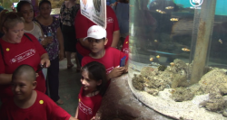 Pequeños visitantes cumplen un sueño en Mazatlán