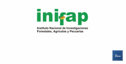 Orientarán a productores que sembrarán trigo y maíz en Cajeme