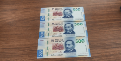 Incrementa robo hormiga y circulación de billetes falsos: Canaco