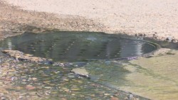 JAPAMA trabaja en reparación de drenajes