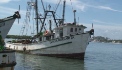 Llegan más barcos al muelle pesquero