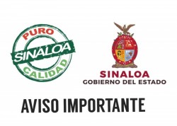 Se suspenden clases en ocho municipios de Sinaloa por tormenta "Sergio"