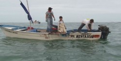 Camarón de granja fue arrastrado por las inundaciones