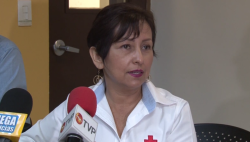 Donativos de Cruz Roja han sido adecuadamente utilizados