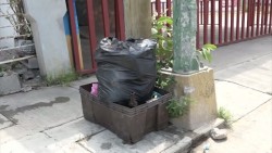 Llaman a no sacar la basura si está lloviendo: Servicios Públicos