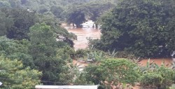 Suman 12 muertos por lluvias en Oaxaca; se desbordan tres ríos