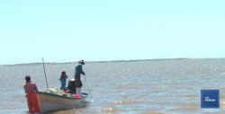 Buscan mejoras para el sector pesquero de Sonora