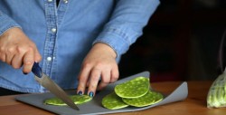 Nopal, ayuda a eliminar el colesterol elevado