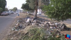 Reitera Alcalde llamado a no sacar basura con la lluvia